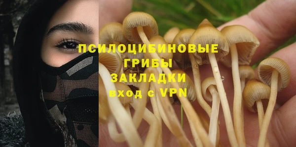 PSILOCYBIN Гусиноозёрск