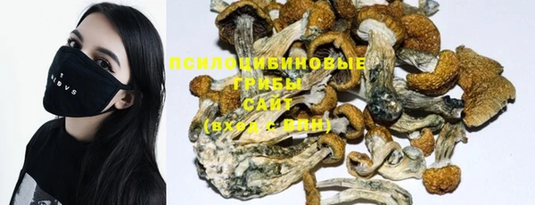 PSILOCYBIN Гусиноозёрск