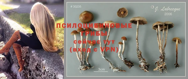 Альфа ПВП Гусь-Хрустальный