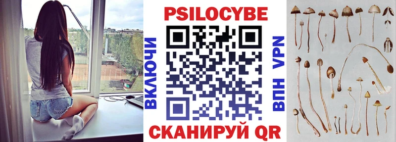 Псилоцибиновые грибы Psilocybine cubensis  kraken как зайти  Ессентуки 